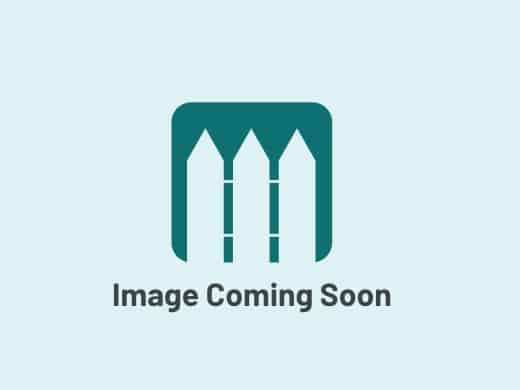 image coming soon