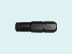 Mesh Security Bit